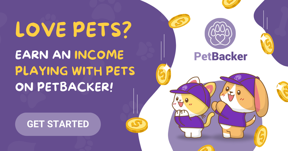 Pet Super App for boarding walking taxi grooming sitting