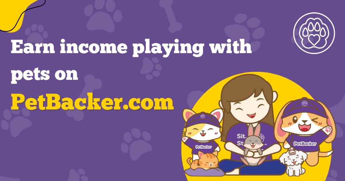jobs-for-pet-sitting-dog-walking-in-hamburg